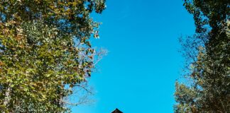 Derby Vermont Secrets: Why This Charming Town Should Be Your Next Adventure