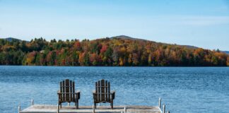Vermont Fall Foliage Tracker: Discover Stunning Color Changes Now