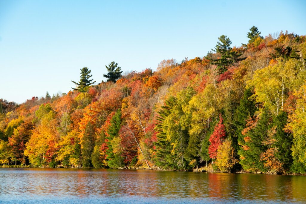 Vermont Fall Foliage: Stunning Views You Can’t Miss This Season