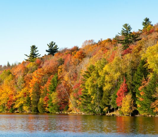 Vermont Fall Foliage: Stunning Views You Can’t Miss This Season Vermont Fall Foliage: Stunning Views You Can’t Miss This Season