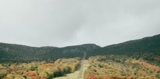 Vermont Ski Resorts Map Guide: Discover Hidden Gems and Trails