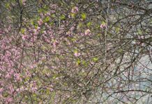 Michaels On The Hill Waterbury Vermont: Why Locals Love It