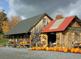 Bcbs Vermont: How It Transforms Healthcare With Unmatched Benefits