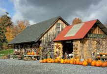 Vermont Vance Secrets Revealed: Why Everyone Is Talking About It