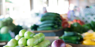 Burlington Farmers Market Vermont: Discover Fresh Finds & Local Treasures