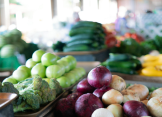 Burlington Farmers Market Vermont: Discover Fresh Finds & Local Treasures