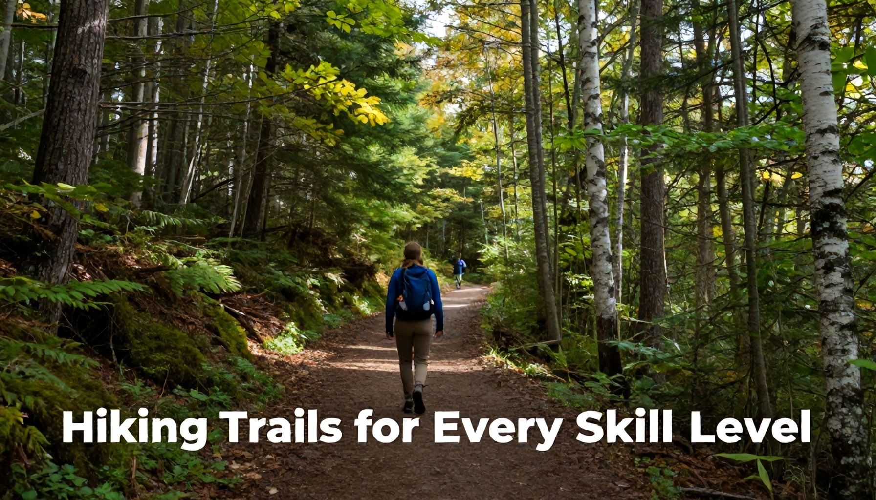 Hiking Trails for Every Skill Level
