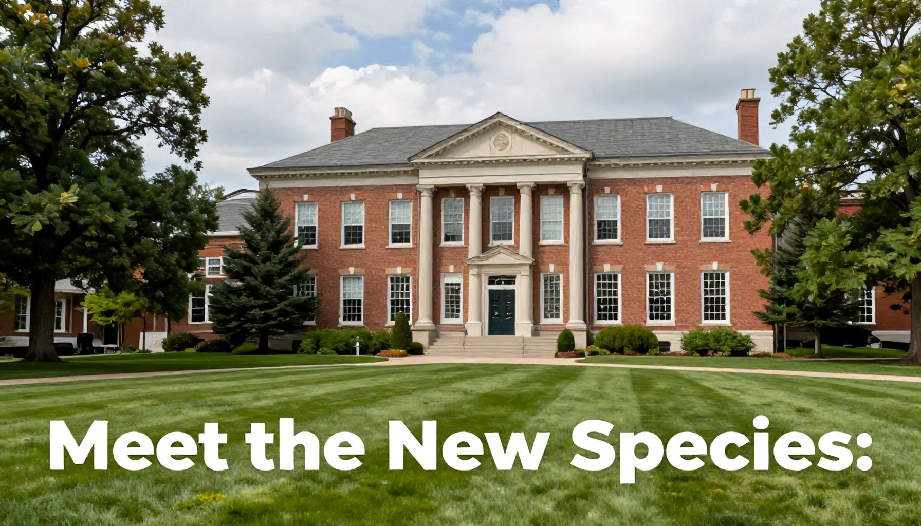 Meet the New Species: A Closer Look