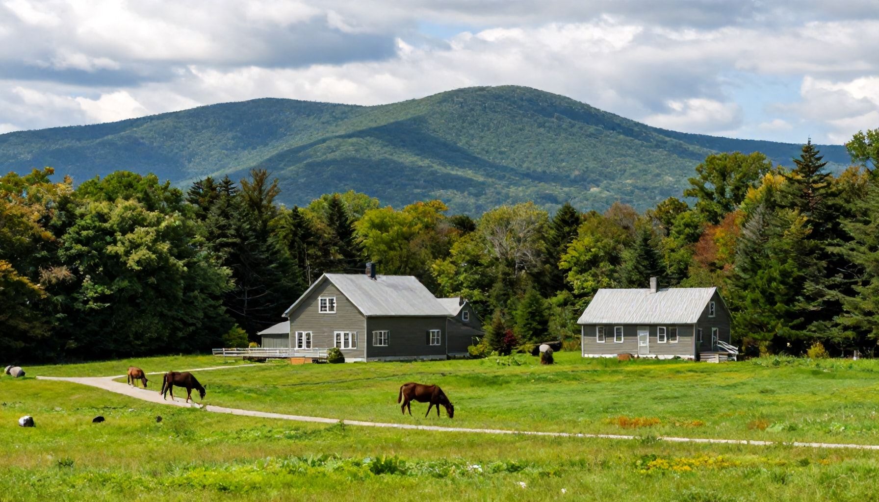 Vermont's Allure for Outdoor Enthusiasts