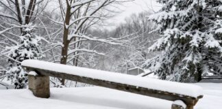 Vermont Braces for Record-Breaking 12-Inch Snowfall