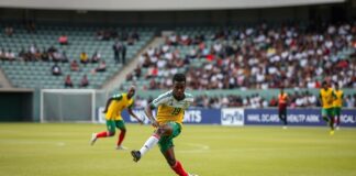 The Global Impact of Local Sports Leagues: A Case Study of Ethiopia’s Football Scene The Global Influence of Local Sports Leagues: An Examination of Ethiopia's Football Landscape