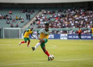 The Global Impact of Local Sports Leagues: A Case Study of Ethiopia’s Football Scene The Global Influence of Local Sports Leagues: An Examination of Ethiopia's Football Landscape