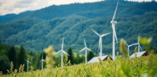 Vermont’s Renewable Energy Initiatives: A Model for the Nation Vermont's Renewable Energy Initiatives: A Model for the Nation