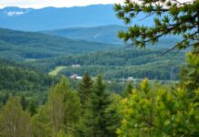 Vermont’s Tech Scene: A Silent Revolution in the Green Mountains Vermont's Tech Scene: A Quiet Revolution in the Green Mountains